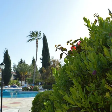 Paradise Gardens 1 Apartman